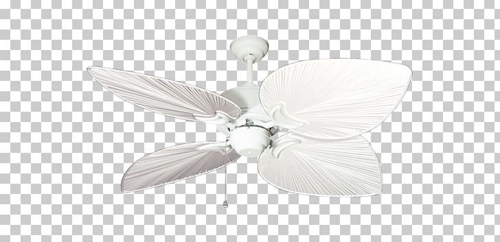 Ceiling Fans Blade Casa Vieja Rattan Png Clipart Blade Blowing