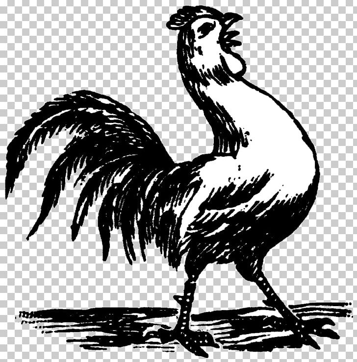 Chicken Gallo Negro Gamecock Rooster Drawing PNG, Clipart, Animals, Art, Beak, Bird, Black And White Free PNG Download