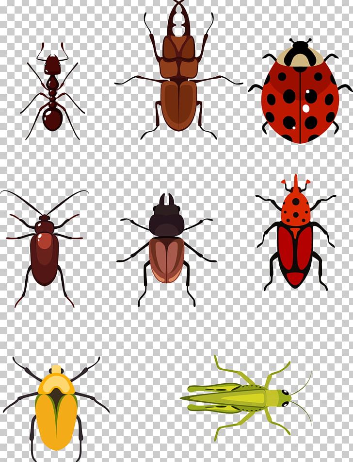 Beetle Euclidean Computer File PNG, Clipart, Animals, Ant, Arthropod, Encapsulated Postscript, Hand Free PNG Download