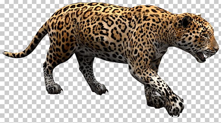 Jaguar PNG, Clipart, Jaguar Free PNG Download