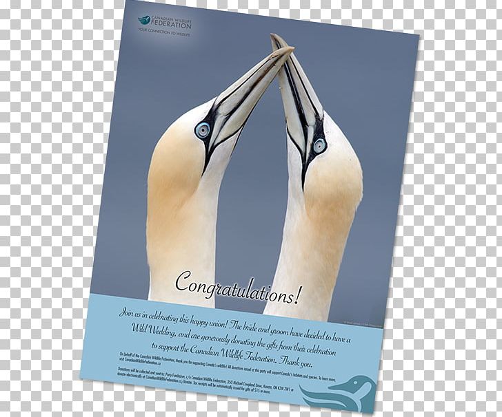 canadian-wildlife-federation-wedding-k2m-2w1-donation-gift-png-clipart