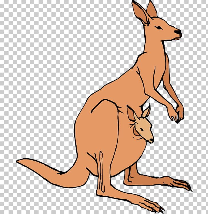 Australia Kangaroo PNG, Clipart, Animal Figure, Australia, Blog, Carnivoran, Clip Art Free PNG Download
