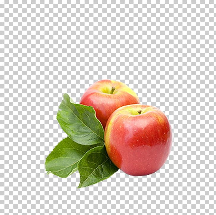 Constipation Home Remedy Food Dietary Fiber Health PNG, Clipart, Apple, Apple Fruit, Apple Logo, Apples, Apple Tree Free PNG Download