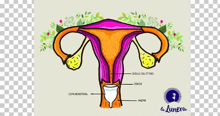Menstrual Cup Menstruation Menstrual Cycle Tampon Uterus PNG, Clipart, 2017, Absorption, Art, Be Free Copa Menstrual, Calendar Free PNG Download