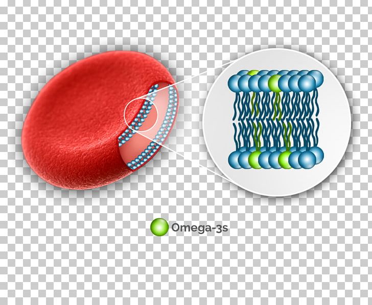 Omega-3 Fatty Acids Red Blood Cell PNG, Clipart, Blood, Blood Cell, Blood Cells, Blood Test, Cell Free PNG Download