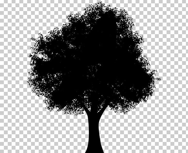 Silhouette Tree PNG, Clipart, Animals, Art, Black And White, Branch, Clip Free PNG Download