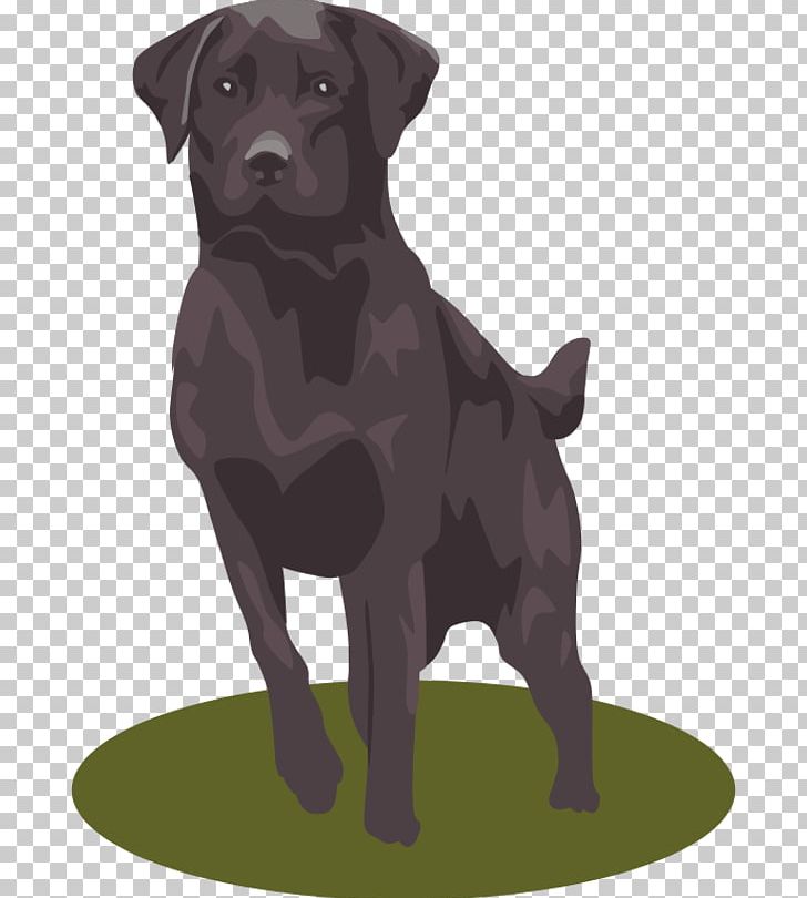 The Labrador Retriever Puppy PNG, Clipart, Borador, Carnivoran, Companion Dog, Dog, Dog Breed Free PNG Download