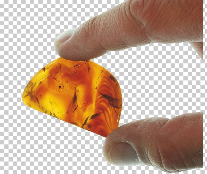 Amber Room Light Tsarskoye Selo Geological And Mining Institute Of Spain PNG, Clipart, Ambar, Amber, Amber Room, Catherine Palace, Finger Free PNG Download