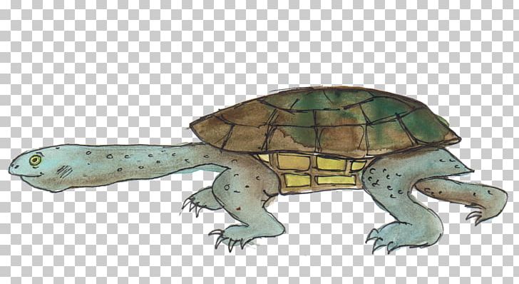 Box Turtle Reptile Tortoise Sea Turtle PNG, Clipart, Alphabet, Animal, Animal Figure, Animals, Box Turtle Free PNG Download