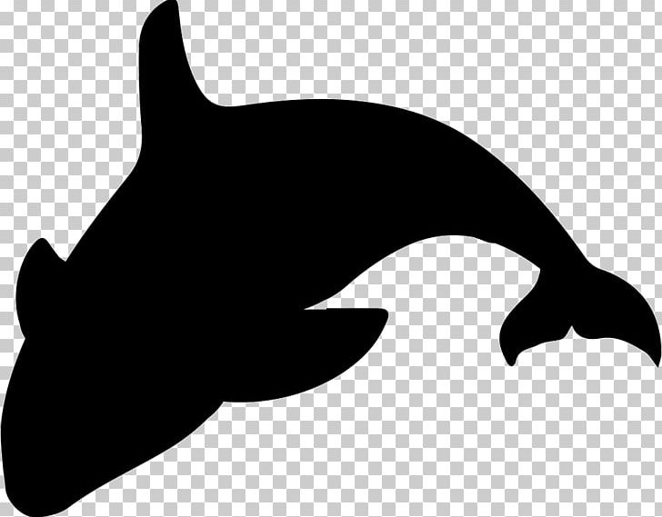 Killer Whale Silhouette PNG, Clipart, Animal, Animals, Beak, Black, Black And White Free PNG Download