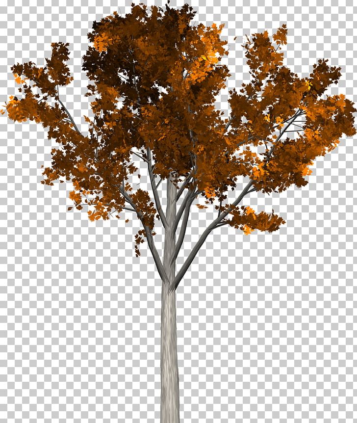 Twig Tree Autumn PNG, Clipart, Adonidia, Arecaceae, Autumn, Branch, Date Palms Free PNG Download