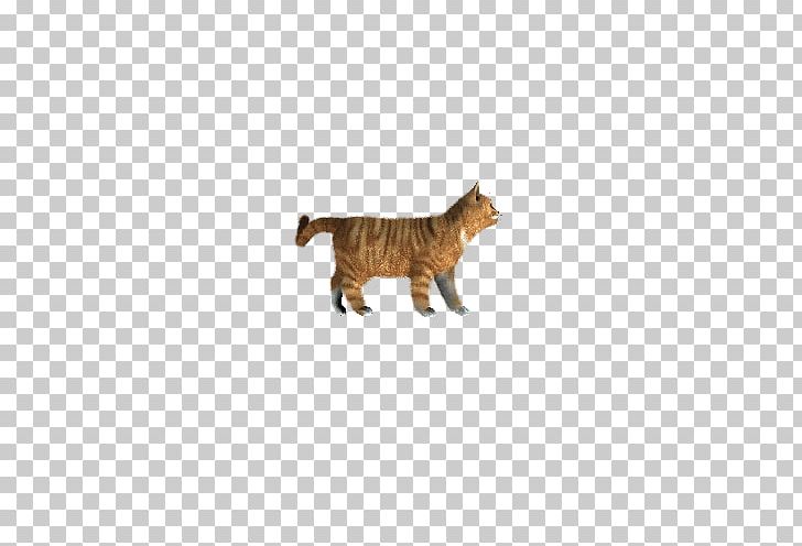 Whiskers Cat Dog Felidae PNG, Clipart, Animals, Carnivoran, Cat, Cat Ear, Cat Like Mammal Free PNG Download