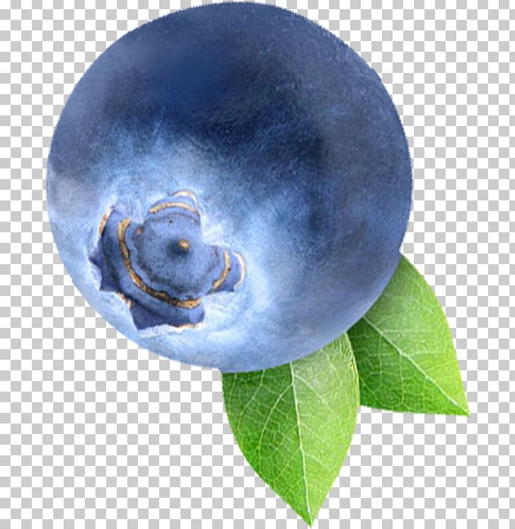 Blueberry Bilberry Fruit PNG, Clipart, Attraction, Attraction Icon, Attractive, Auglis, Berry Free PNG Download