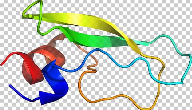 Line PNG, Clipart, Area, Art, Artwork, Bovine Pancreatic Ribonuclease, Line Free PNG Download