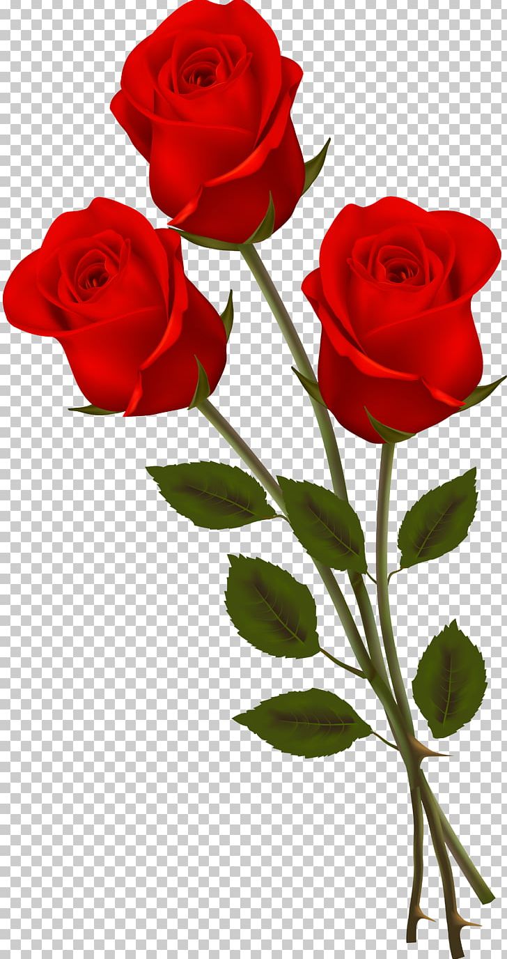 Love Marriage Astrology Mantra PNG, Clipart, Bouquet Of Flowers, Floribunda, Flower, Flower Arranging, Flowers Free PNG Download