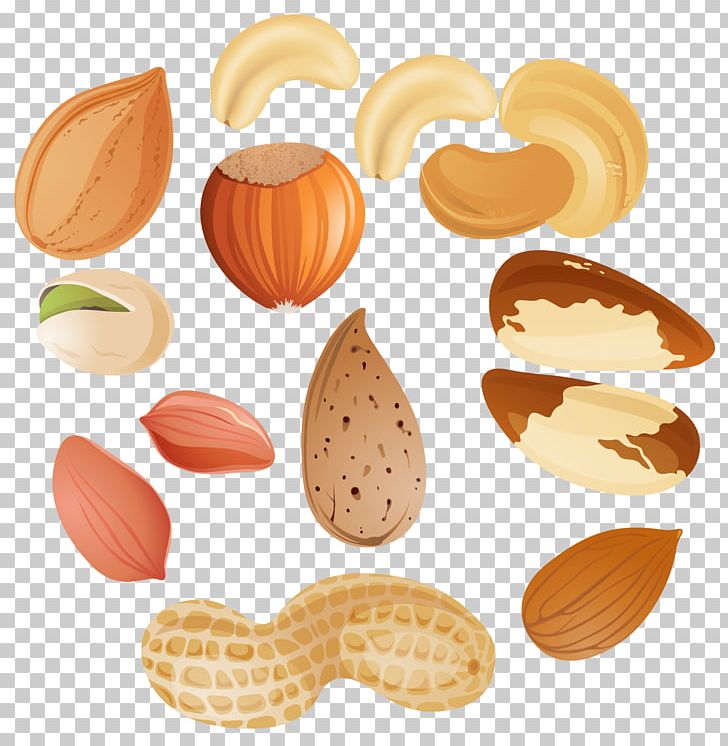 Nucule Tree Nut Allergy PNG, Clipart, Acorn, Almond, Cashew, Clip Art, Clipart Free PNG Download