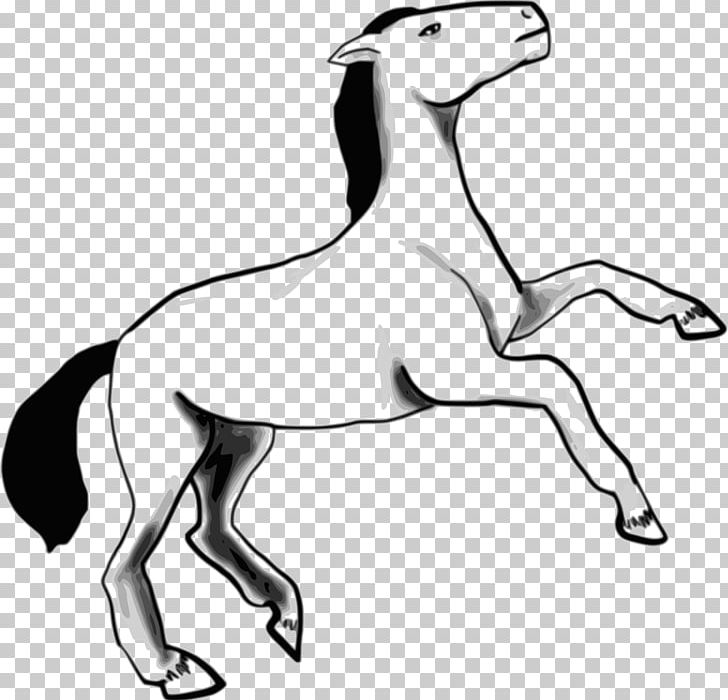Arabian Horse Dog Mustang Pony PNG, Clipart, Animals, Arabian Horse, Arabian Horse Association, Art, Carnivoran Free PNG Download