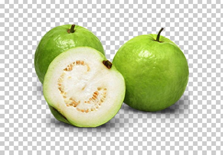 Common Guava Tropical Fruit Juice Vesicles PNG, Clipart, App, Apple, Auglis, Citron, Citrus Free PNG Download
