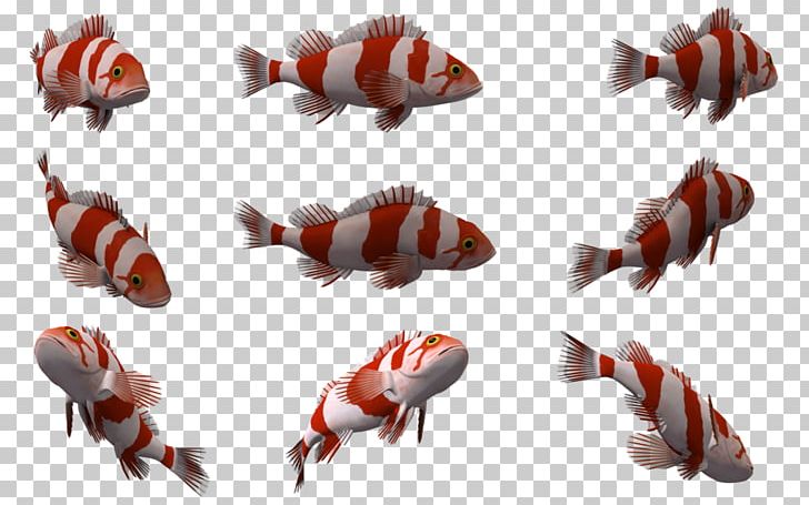 Fish Deep Sea Creature PNG, Clipart, 3d Computer Graphics, Animal, Animals, Animal Source Foods, Clip Art Free PNG Download