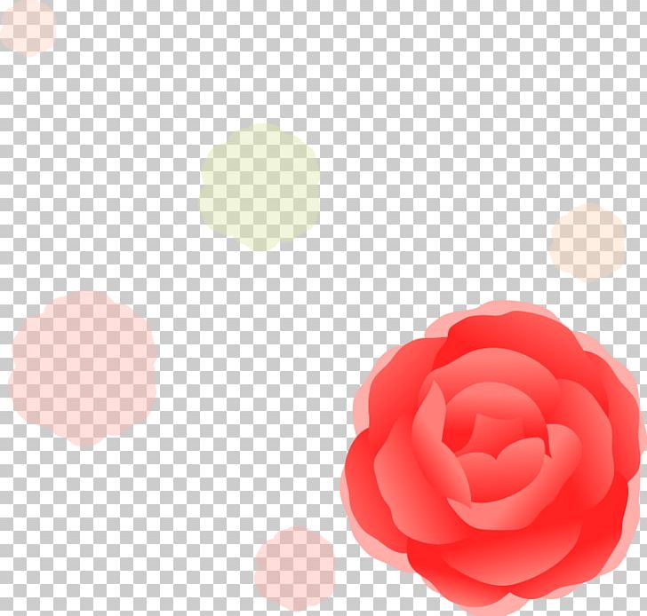 Garden Roses PNG, Clipart, Ballo, Beautiful Vector, Cartoon, Computer Wallpaper, Desktop Wallpaper Free PNG Download