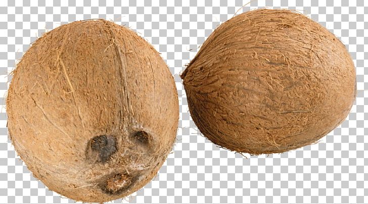 Coconut PNG, Clipart, Coconut, Coconut Water, Free, Fruit, Fruits Free PNG Download
