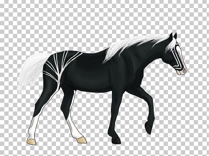 Stallion Friesian Horse Mustang Foal Rein PNG, Clipart, Black And White, Bridle, Colt, English Riding, Equestrian Free PNG Download