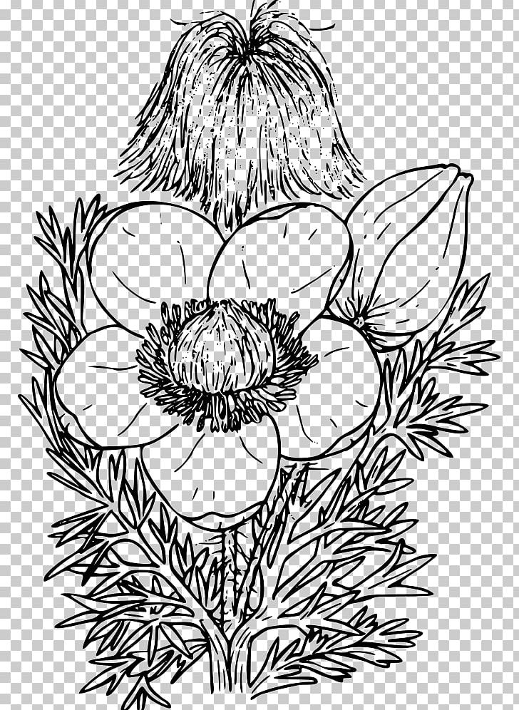 Western Anemone Floral Design Red Columbine PNG, Clipart, Artwork, Black, Black And White, Botanical Illustration, Botany Free PNG Download