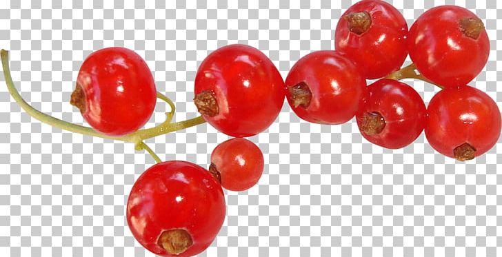 Zante Currant Lingonberry Redcurrant PNG, Clipart, Auglis, Berry, Cherry, Cranberry, Currant Free PNG Download