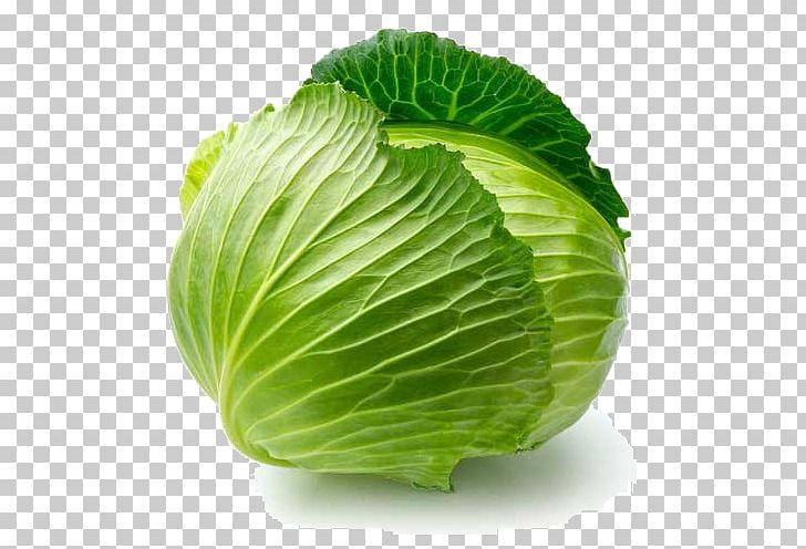 Organic Food Savoy Cabbage Leaf Vegetable PNG, Clipart, Brassica Oleracea, Brussels, Cabbage, Cabbage Family, Chinese Cabbage Free PNG Download