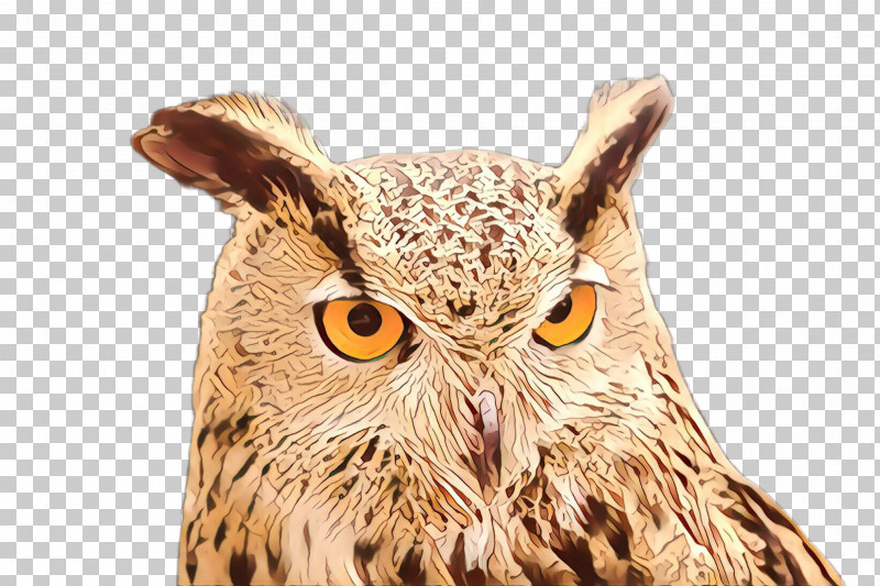 Owl Bird Of Prey Bird Eastern Screech Owl Screech Owl PNG, Clipart, Beak, Bird, Bird Of Prey, Eastern Screech Owl, Great Horned Owl Free PNG Download