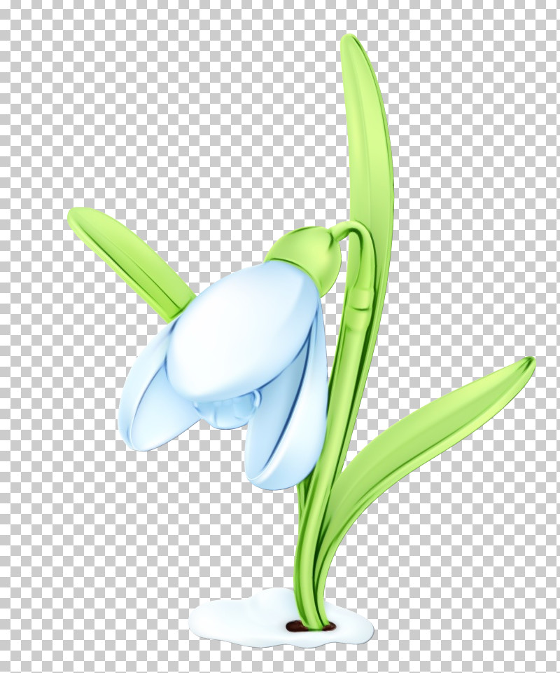 Snowdrop Galanthus Flower Plant Amaryllis Family PNG, Clipart, Amaryllis Family, Flower, Galanthus, Paint, Petal Free PNG Download