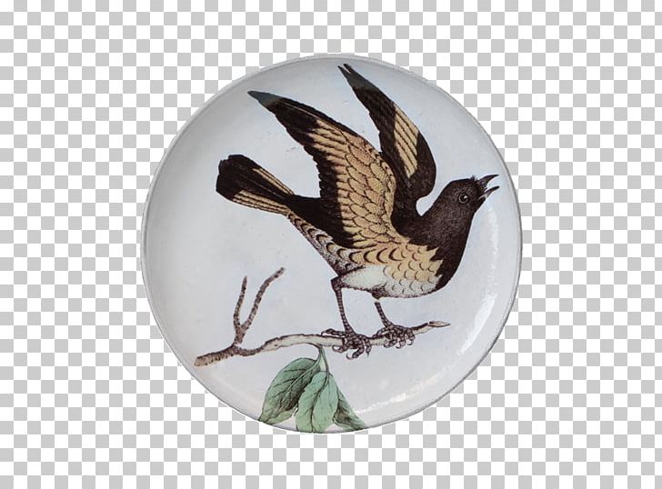 Ceramic Platter Tableware Beak Bird PNG, Clipart, American Redstart, Beak, Bird, Ceramic, Fauna Free PNG Download