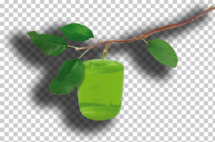 Gelatin Dessert Shooter United States PNG, Clipart, Animal Bite, Branch, Computer, Computer Wallpaper, Desktop Wallpaper Free PNG Download