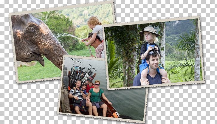 Khwae Yai River Hotel Family Elephants Travelnauts PNG, Clipart, Beach, Boy, Child, Elephant, Elephants Free PNG Download
