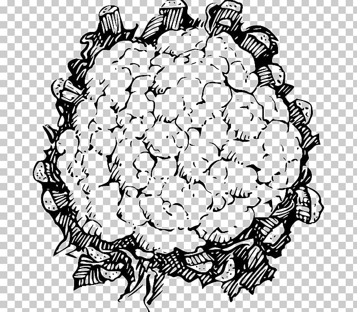 Line Art Drawing Cauliflower PNG, Clipart, Area, Artwork, Black And White, Cauliflower, Circle Free PNG Download