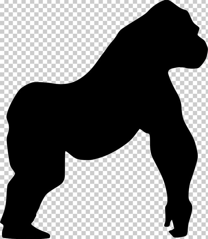 Mountain Gorilla Horse Wall Decal PNG, Clipart, Animal, Animals, Black, Black And White, Bwindi Impenetrable National Park Free PNG Download