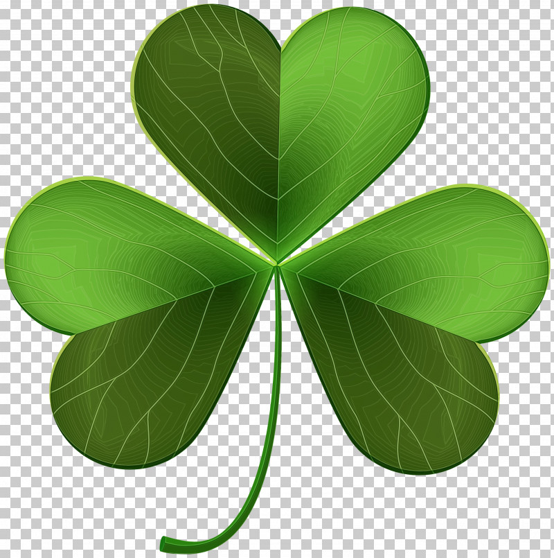 Shamrock PNG, Clipart, Clover, Creeping Wood Sorrel, Flower, Green, Leaf Free PNG Download