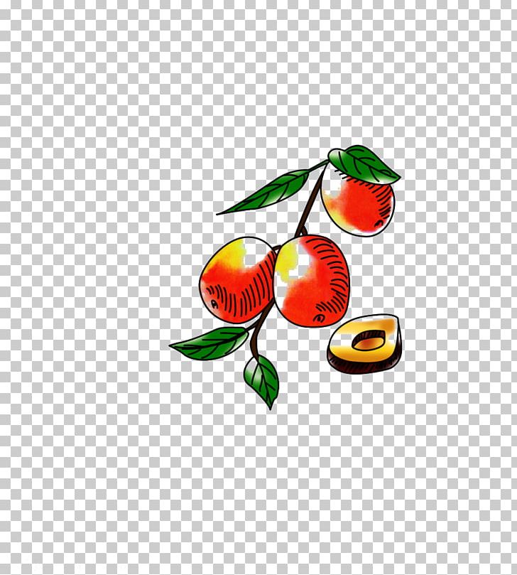 Jujube Fruit Date Palm PNG, Clipart, Branch, Computer Wallpaper, Date, Date Fruit, Date Palm Free PNG Download