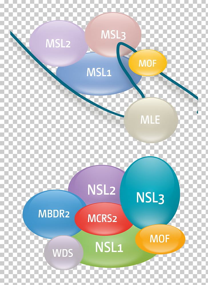 Max Planck Institute Of Immunobiology And Epigenetics Max Planck Society Histone Graphic Design PNG, Clipart, Brand, Cell, Circle, Communication, Competing Endogenous Rna Free PNG Download