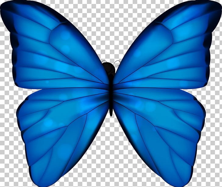 Monarch Butterfly Blue Phengaris Alcon PNG, Clipart, Azure, Blue, Blue Abstract, Blue Abstracts, Blue Background Free PNG Download