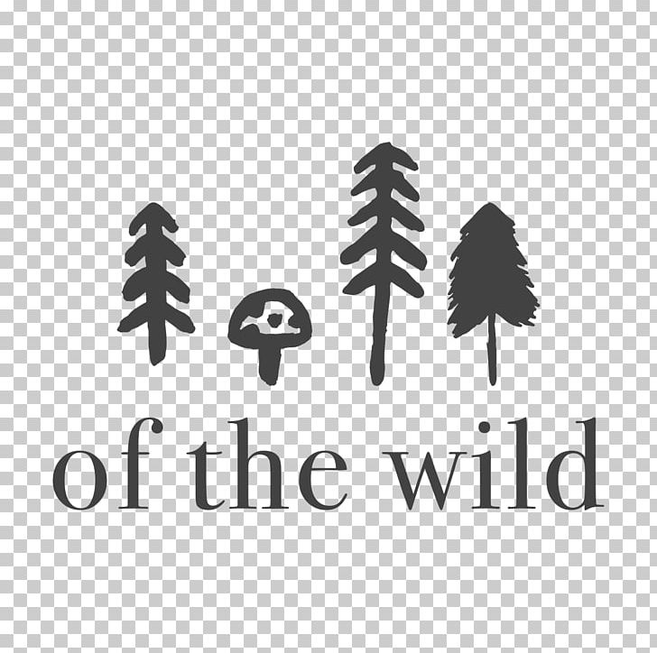 Of The Wild Nature Preschool CKWD St. Patrick's Island Pre-school Wee Wild Ones PNG, Clipart,  Free PNG Download
