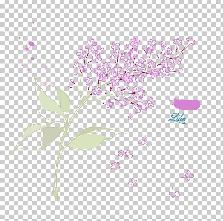 Petal Flower Syzygium Aromaticum PNG, Clipart, Blossom, Branch, Cherry Blossom, Common Lilac, Decoration Free PNG Download