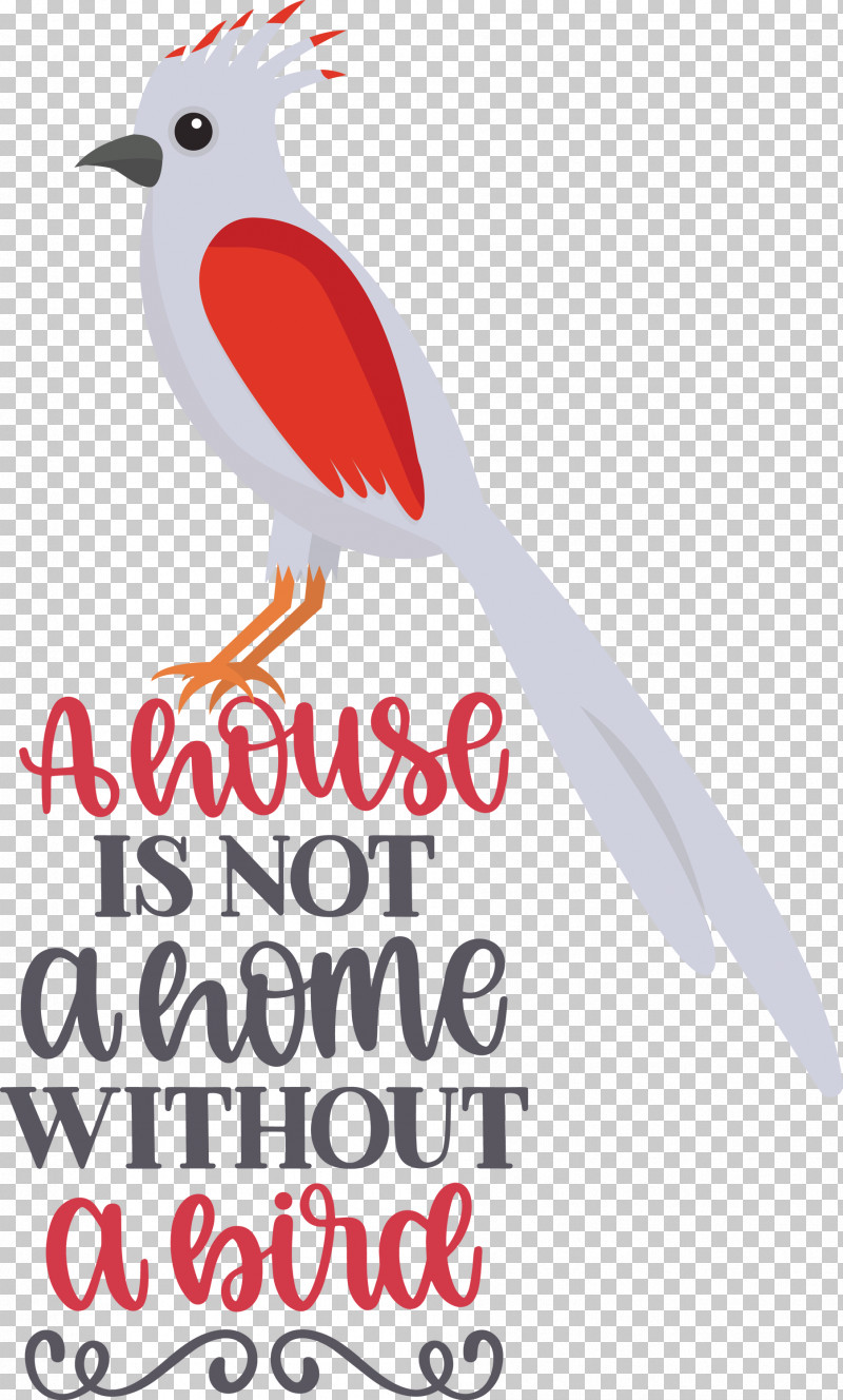 Bird Quote Bird Home PNG, Clipart, Beak, Biology, Bird, Birds, Home Free PNG Download