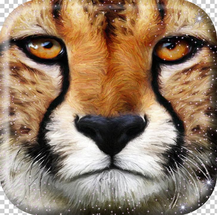 Cheetah Wildcat Leopard Big Cat PNG, Clipart, Animals, Big Cat, Big Cats, Carnivoran, Cat Free PNG Download