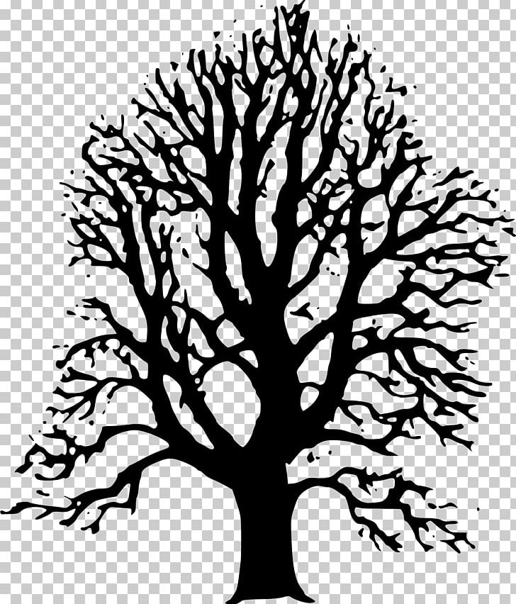 Sticker Tree PNG, Clipart, Artwork, Black And White, Branch, Drawing, Duleek Credit Union Limited Free PNG Download