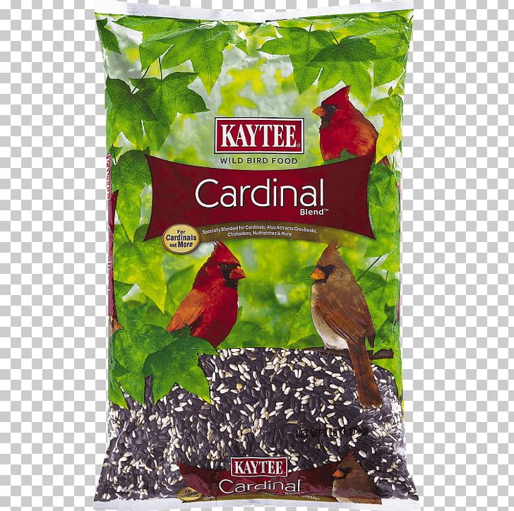 Bird Food Kaytee Cardinal Caraway Seed Cake PNG, Clipart, Animals, Beak, Bird, Bird Feeders, Bird Food Free PNG Download