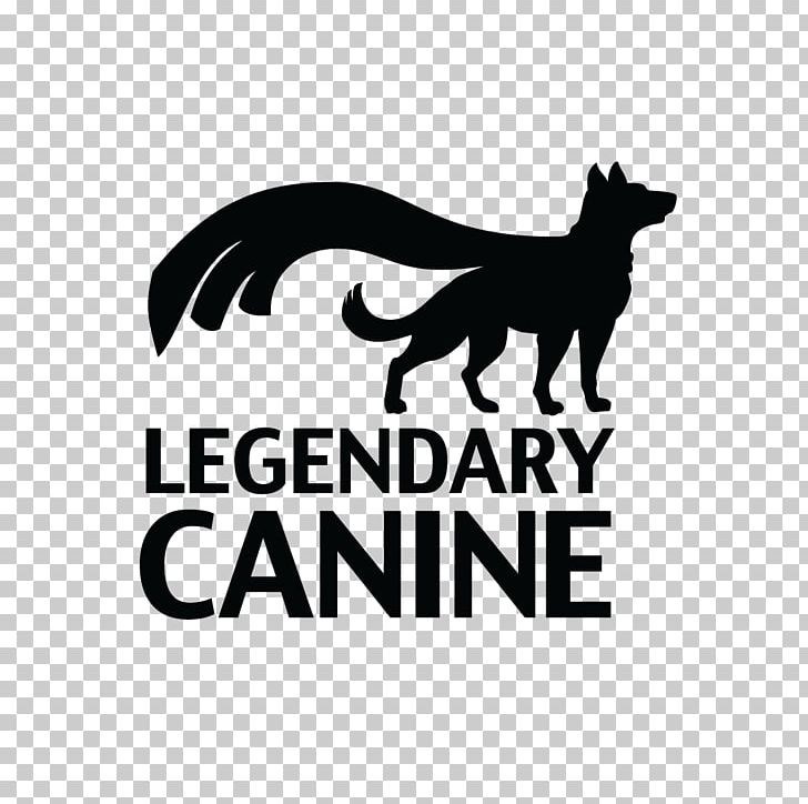 Cat Boxer American Pit Bull Terrier Komondor Puppy PNG, Clipart, American Pit Bull Terrier, Animals, Black, Black And White, Boxer Free PNG Download