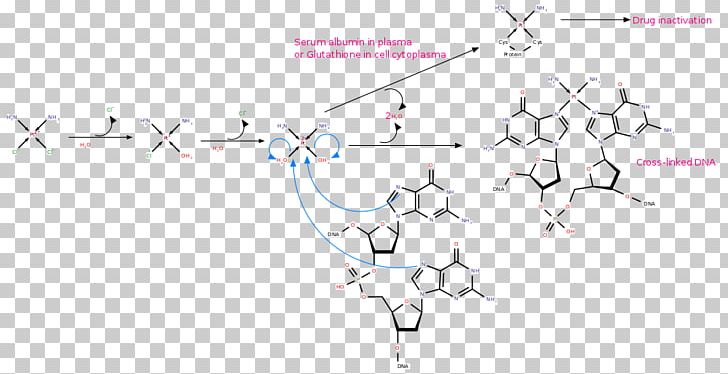 Product Angle Point Line Design PNG, Clipart, Angle, Area, Design M Group, Diagram, Dna Free PNG Download