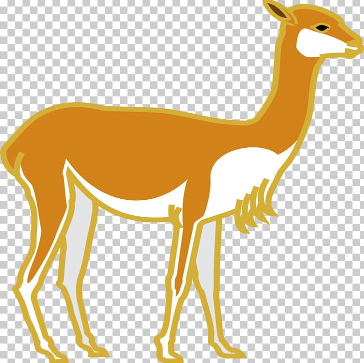 White-tailed Deer PNG, Clipart, Animal, Animal Figure, Animals, Camel Like Mammal, Carnivoran Free PNG Download