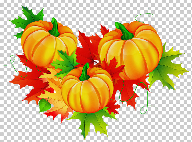 Pumpkin PNG, Clipart, Calabaza, Cucurbita, Food, Fruit, Garnish Free PNG Download